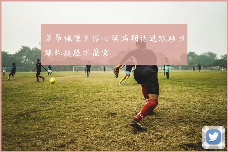 若昂佩德罗信心满满期待进球助力球队战胜水晶宫