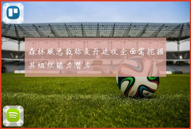 森林狼总裁称麦丹进攻全面需挖掘其组织能力潜力